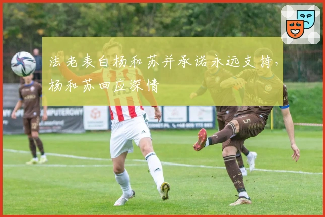 法老表白杨和苏并承诺永远支持，杨和苏回应深情